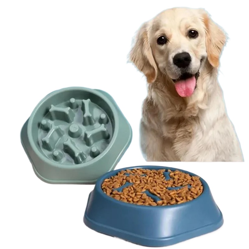 Royal Canin Food Medium - 느린 속도로 먹는 강아지용 식기, 미끄럼
