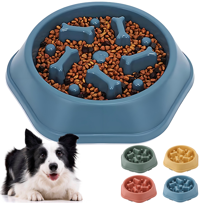 Royal Canin Food Medium - 느린 속도로 먹을 수 있도록 설계된